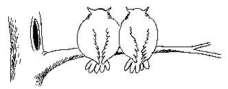 Eulen03