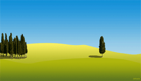 Wandener Wald